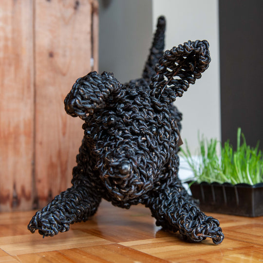 Animal d'herbier - Chien ludique