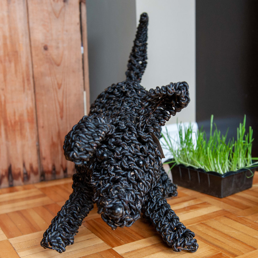 Animal d'herbier - Chien ludique