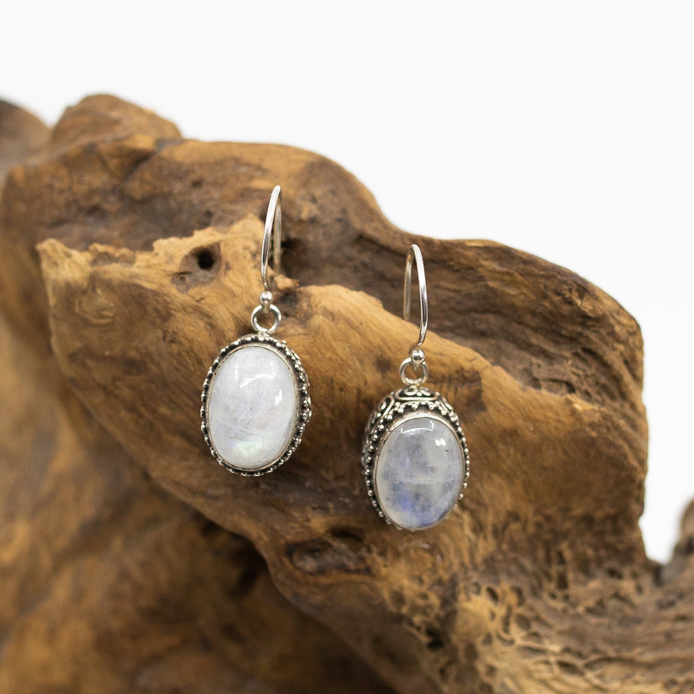 Filigree Moonstone Earrings