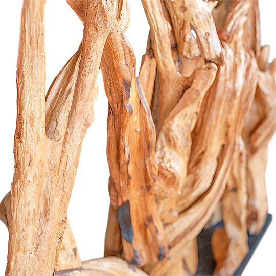 Javanese Root Abstract Sculpture