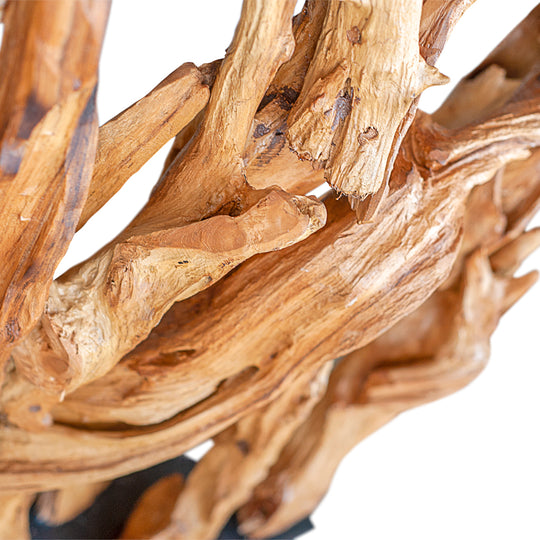 Javanese Root Abstract Sculpture