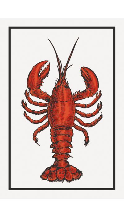 Lobster, Flour Sack Kitchen Towel - Set of 2