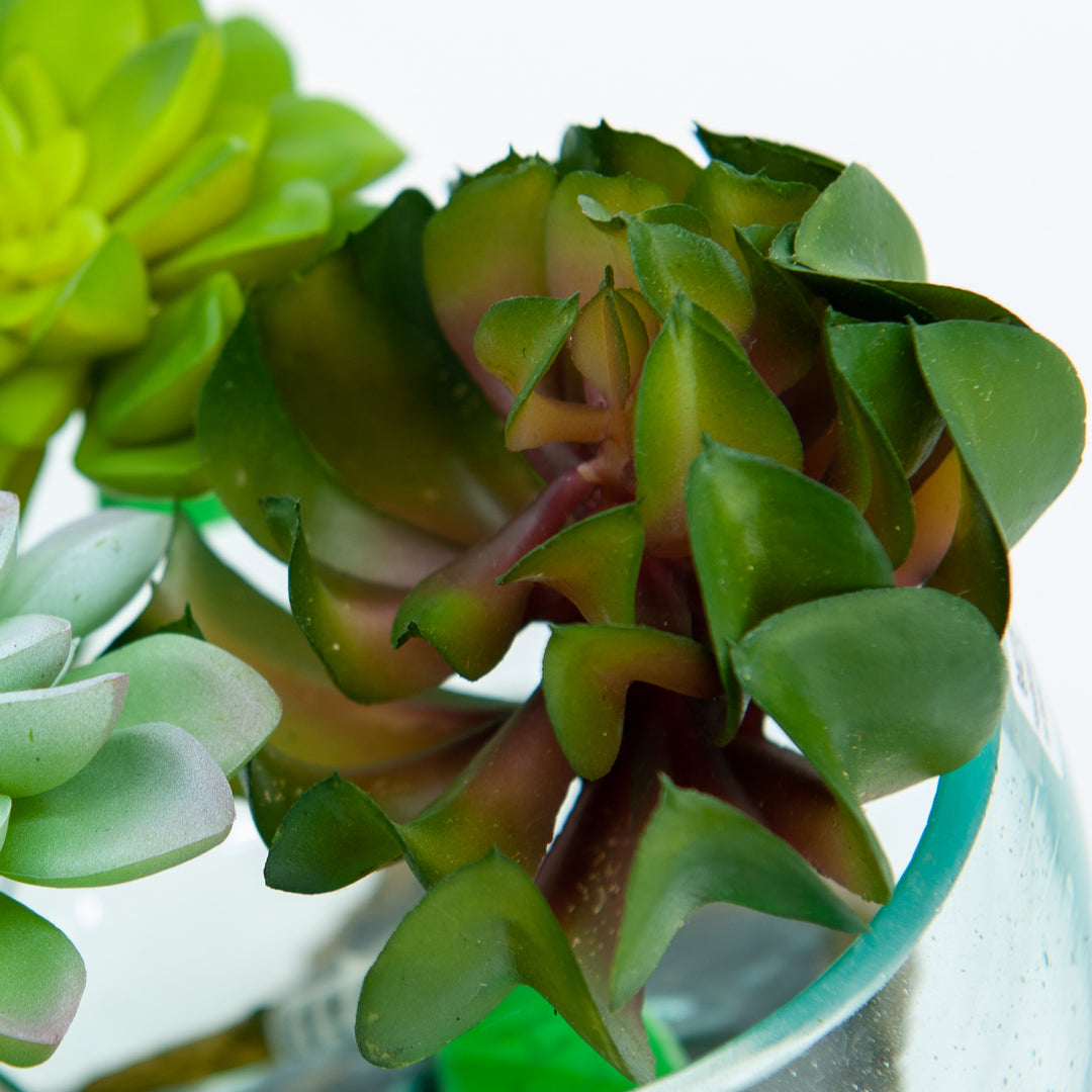 Echeveria Faux Succulent
