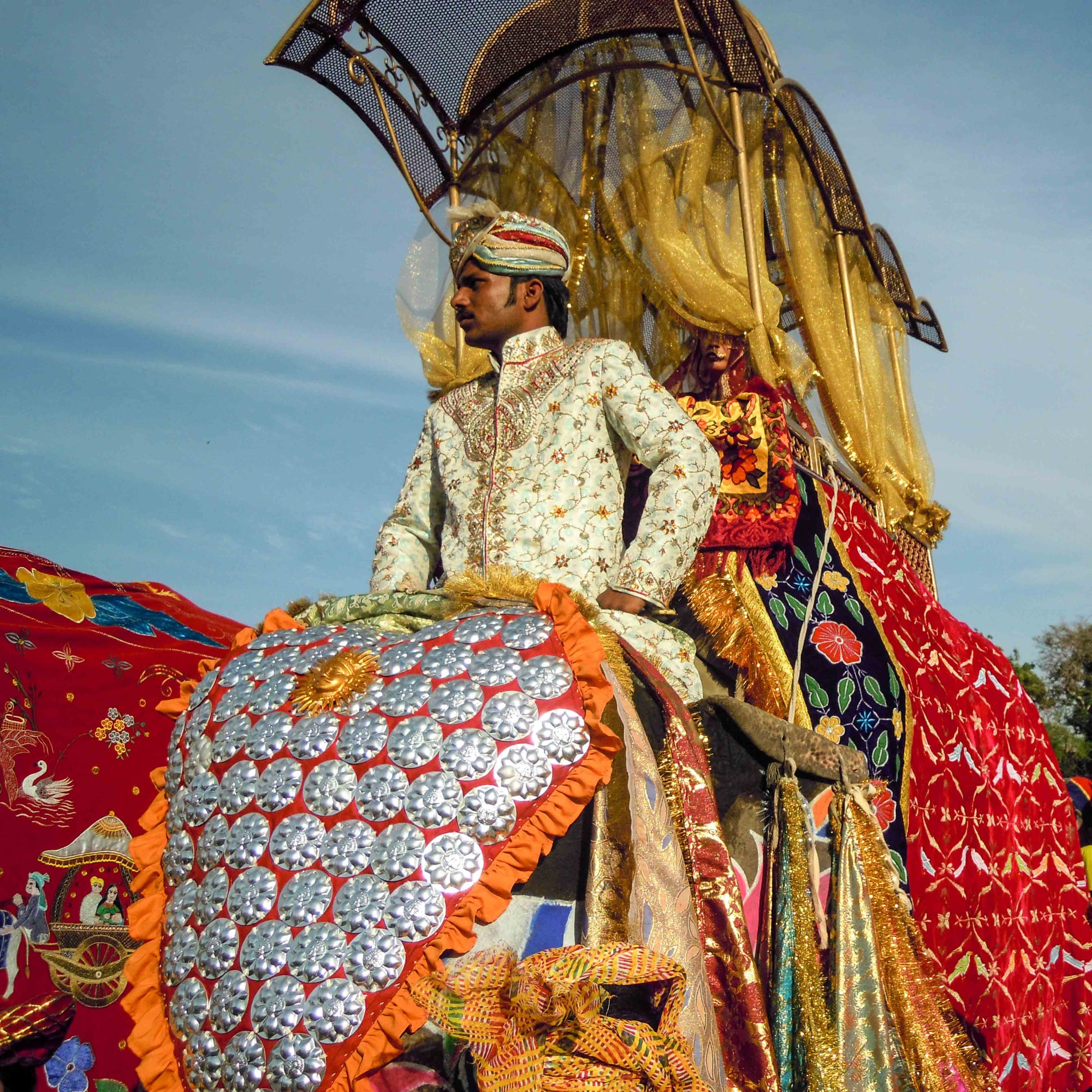 Ornately dressed Indian man riding colourful decorated elephant