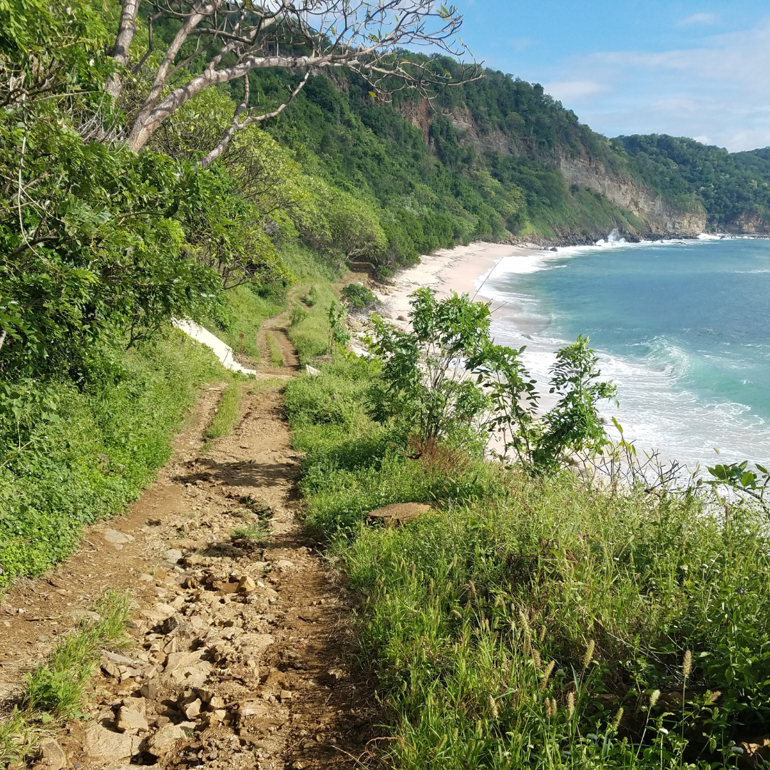 Nicaraguan coastal trail surrounded by lush greenery leading down to a beach next to the ocean