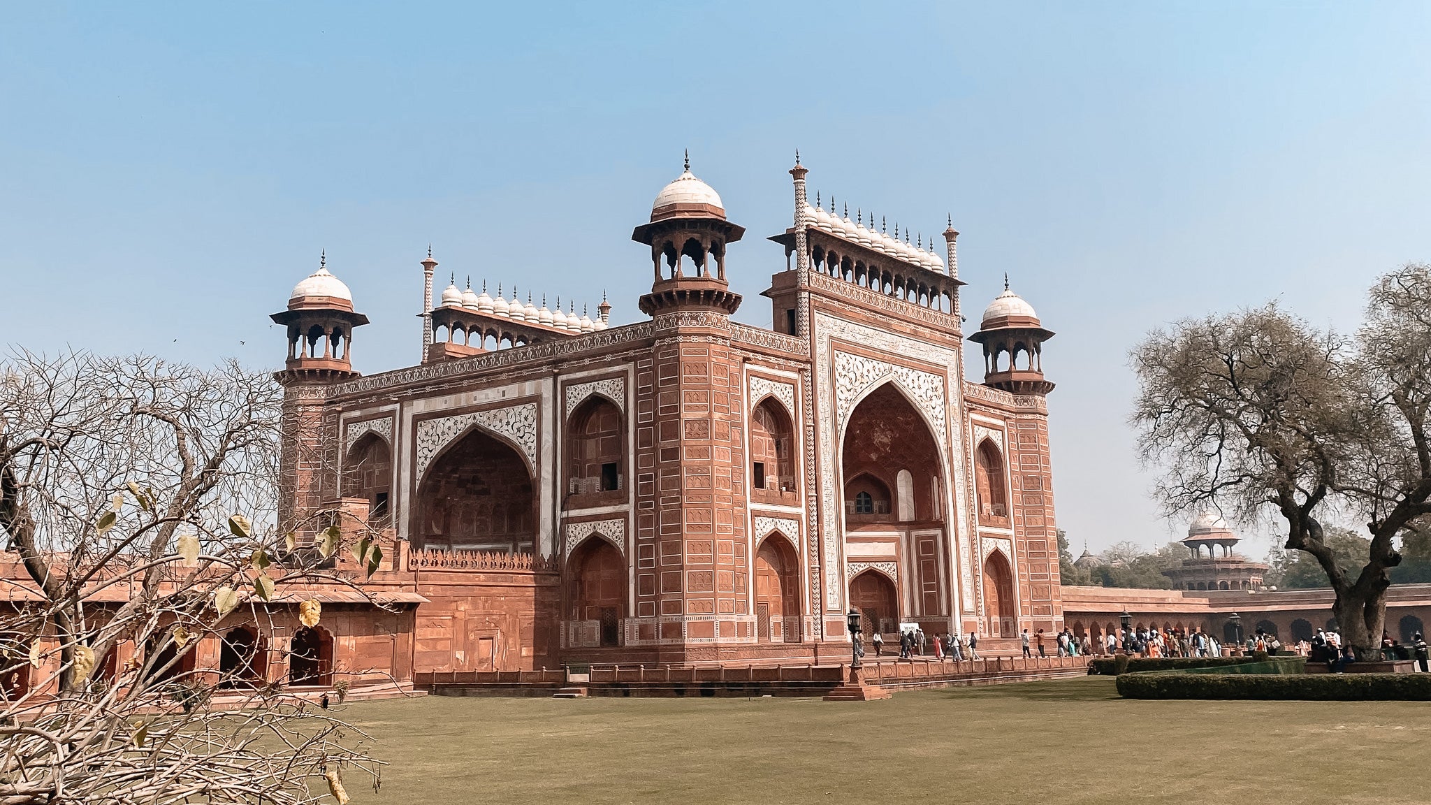 New Arrivals: India
