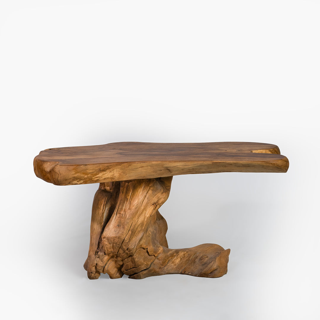 The Aliran Coffee Table