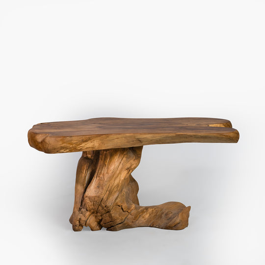 The Aliran Coffee Table