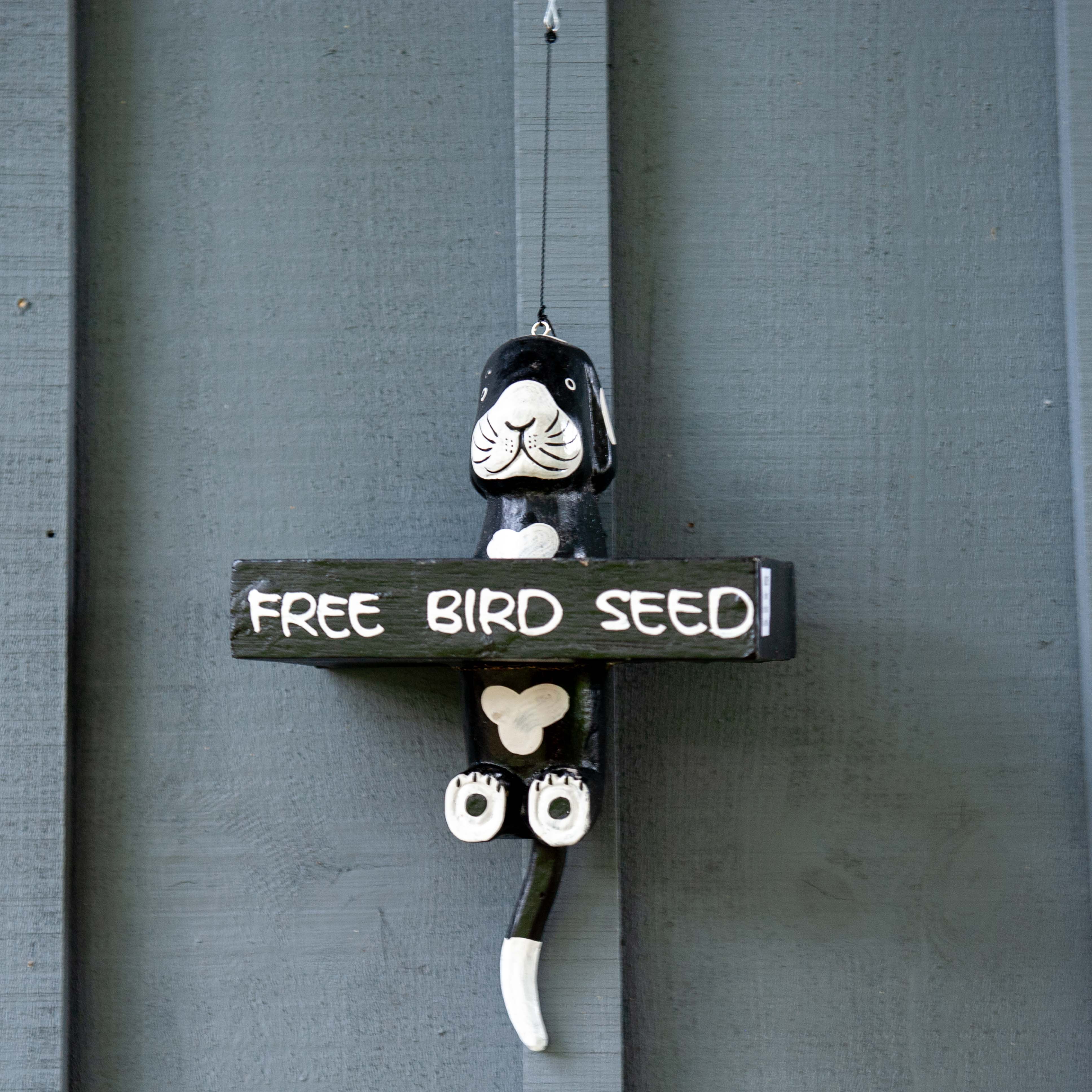 Dog bird on sale feeder