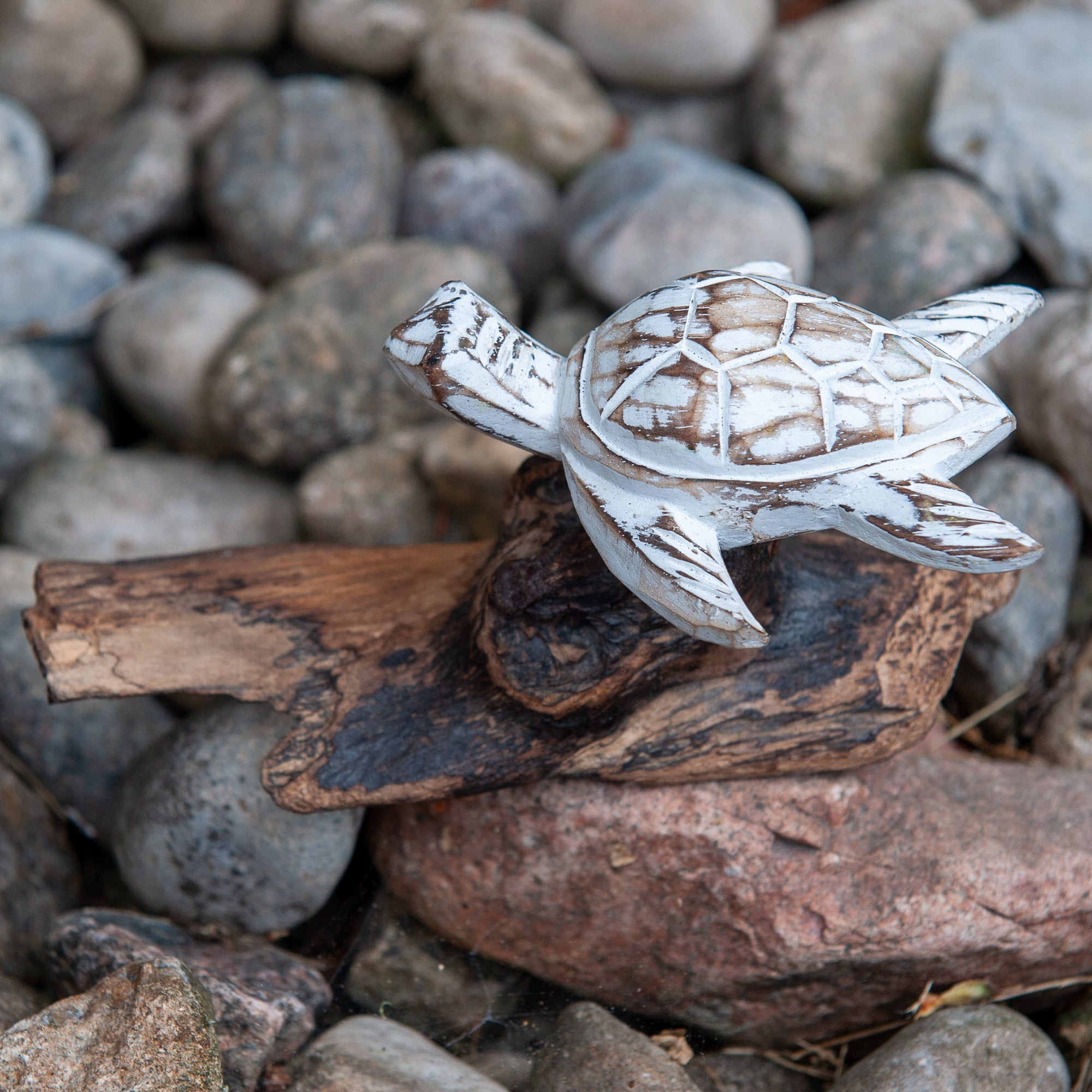White Driftwood Turtle on Base