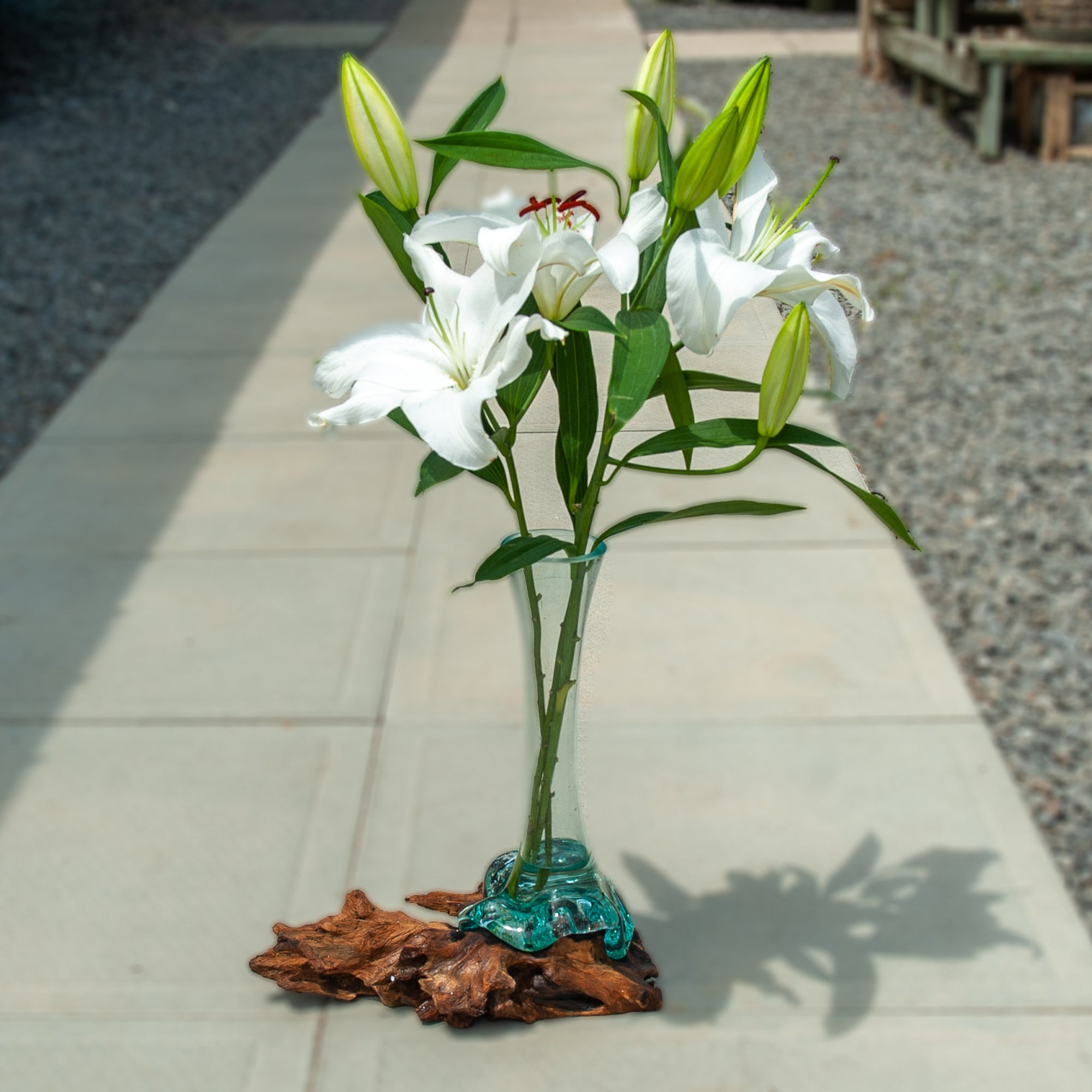 Tall Glass Vase on Gamal Wood - 15"