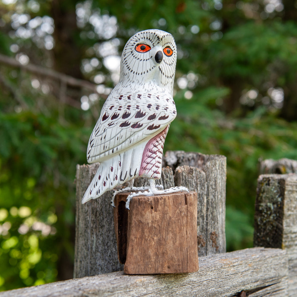 Snowy Owl on Wood