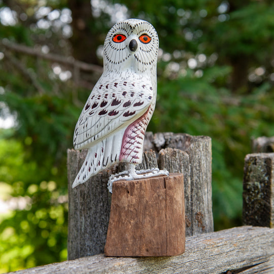 Snowy Owl on Wood