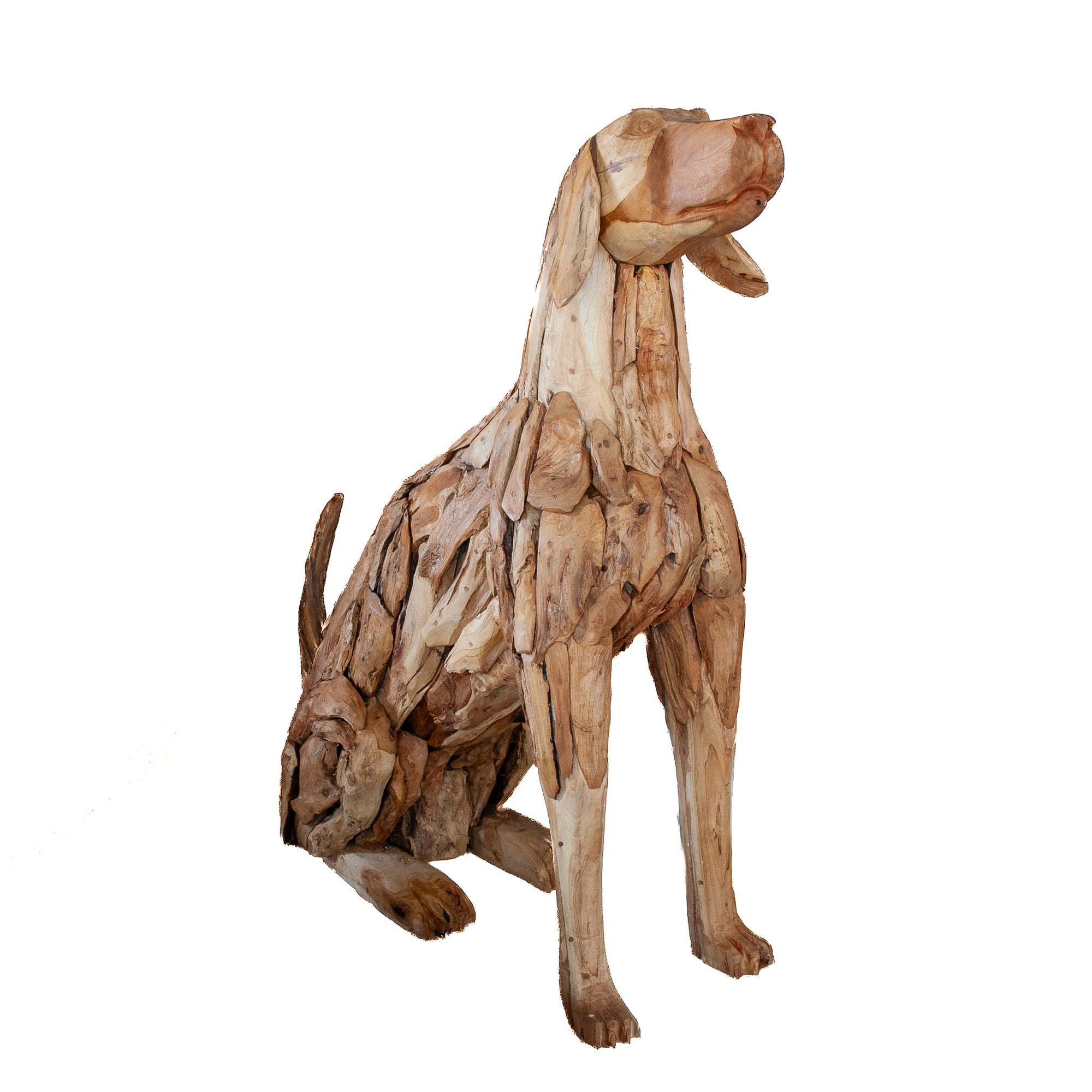 Teak Root Dog Sculpture