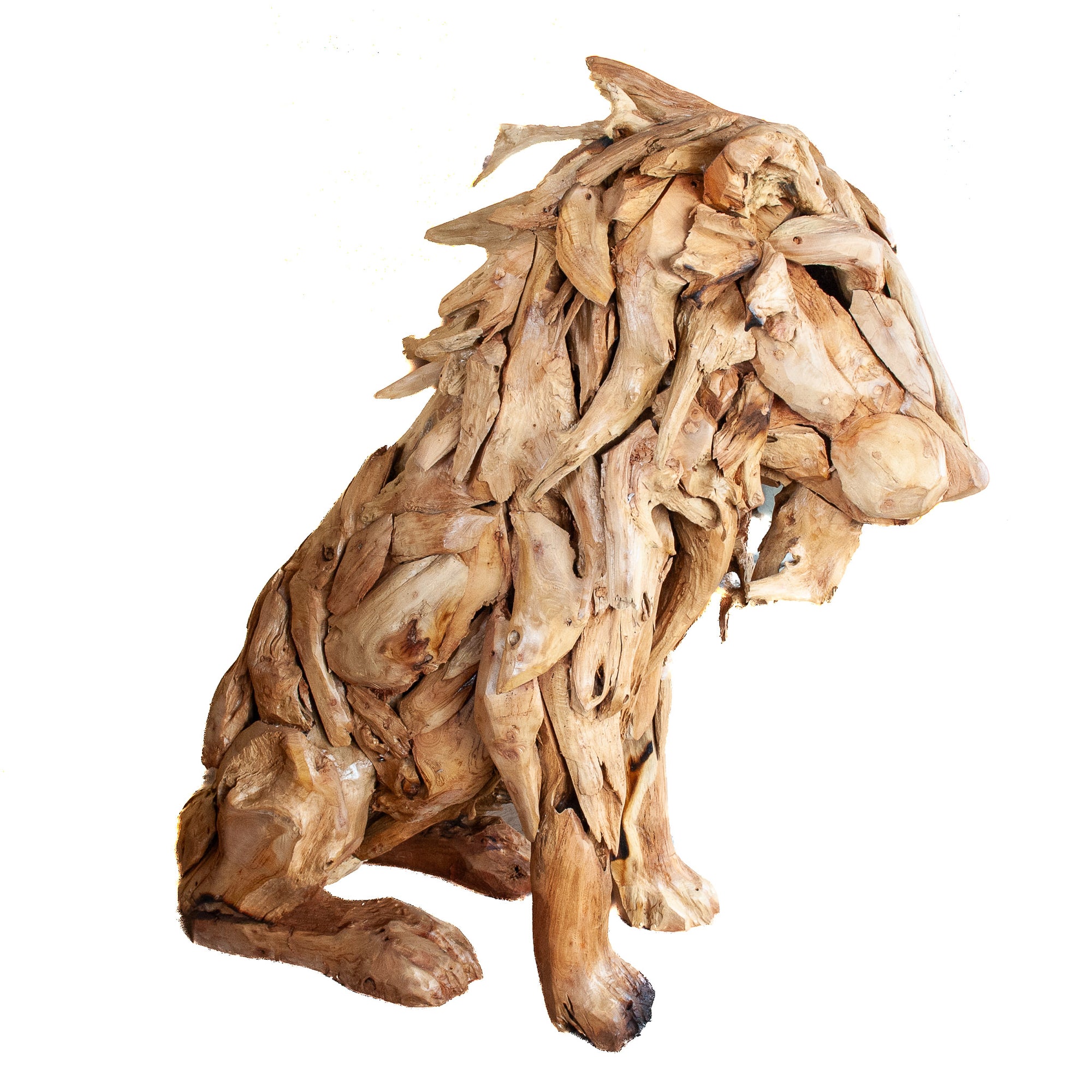 Teak Root Lion Sculpture