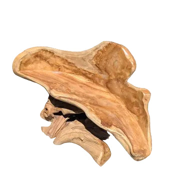 Teak Root Bench with Single Leg Base
