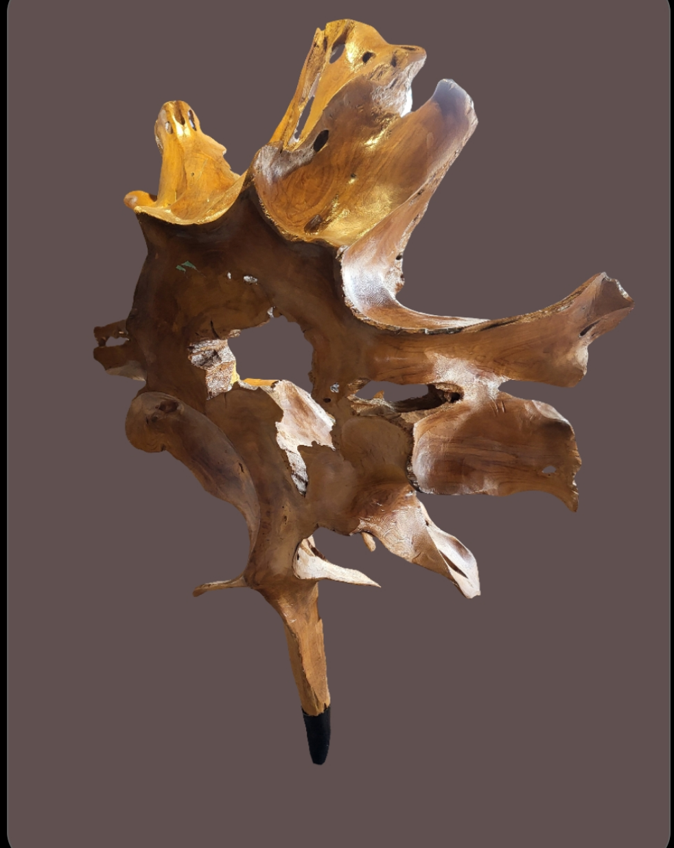 Balinese Teak Root Sculpture - Black Wash