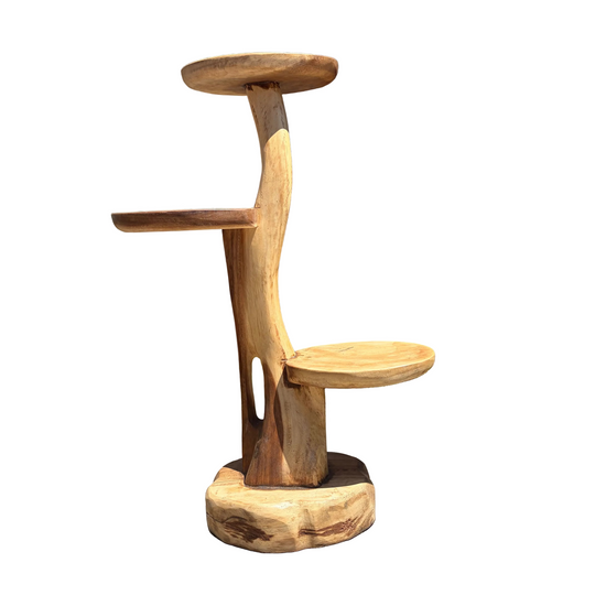 Thick Branch Display Tower Stand Suar Wood