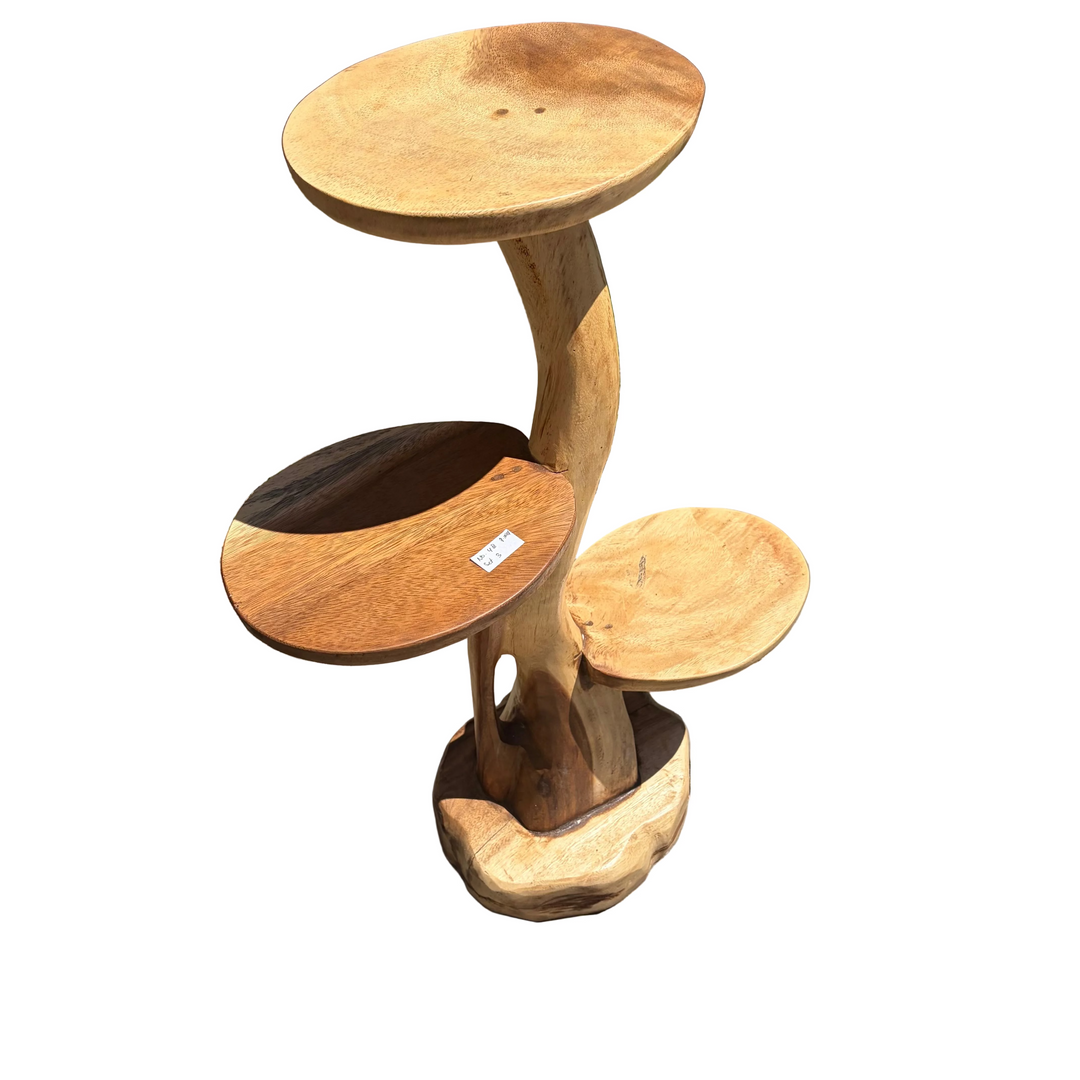 Thick Branch Display Tower Stand Suar Wood