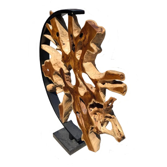 Abstract Teak Root Sculpture