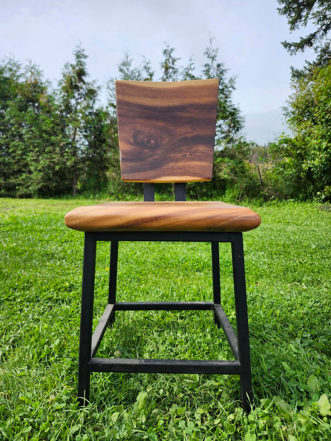 Sono Wood Chair with Iron Legs