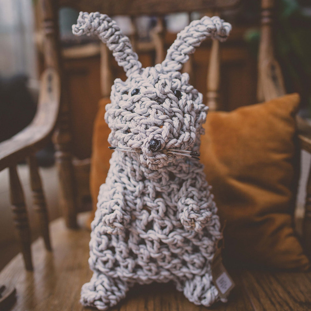 Lapin d'herbier
