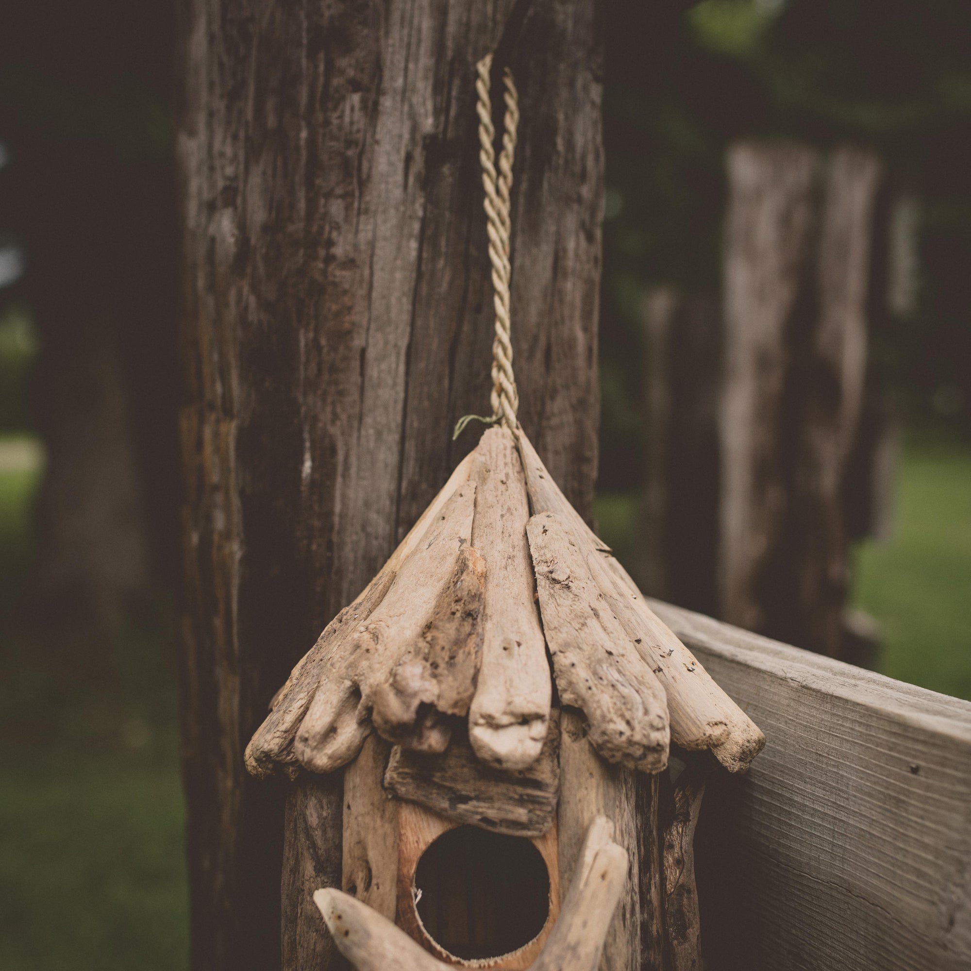 Driftwood Single Birdhouse