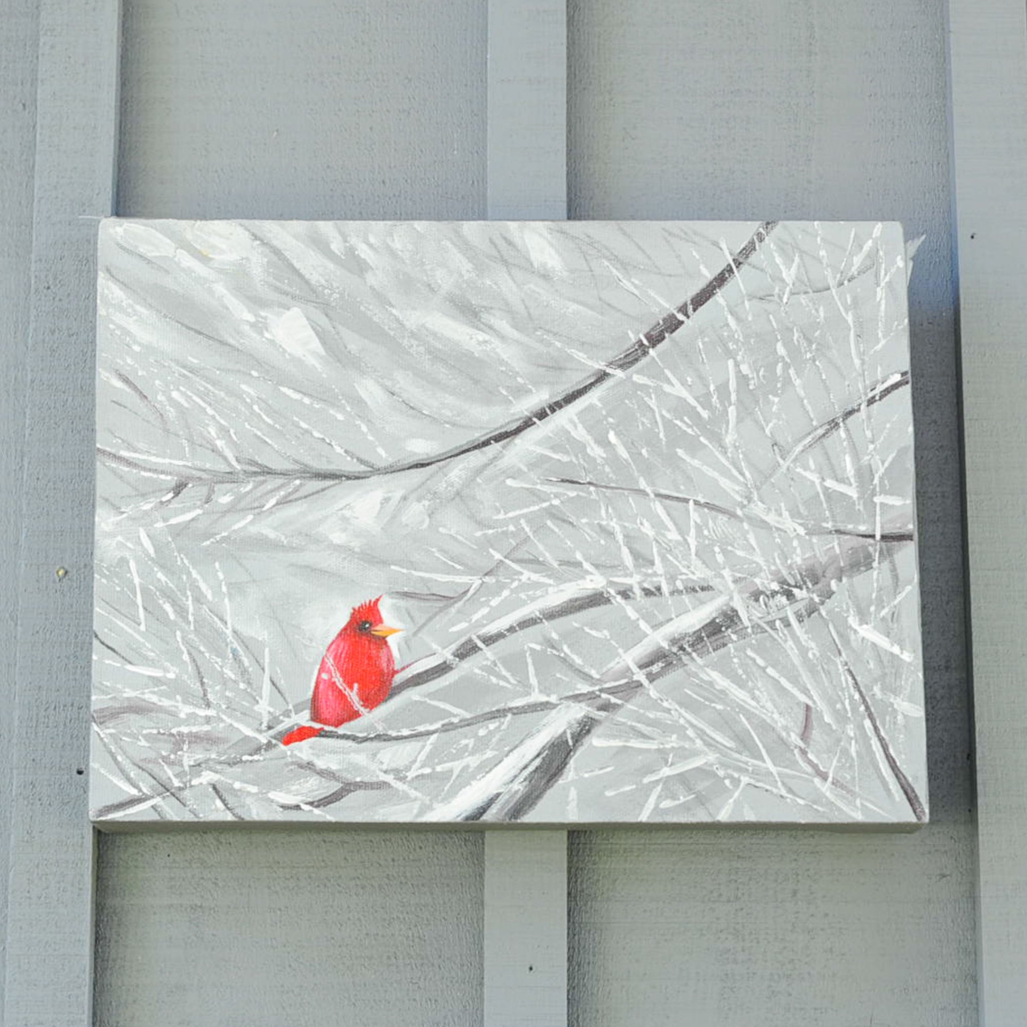 Cardinal on a snowy branch in the winter