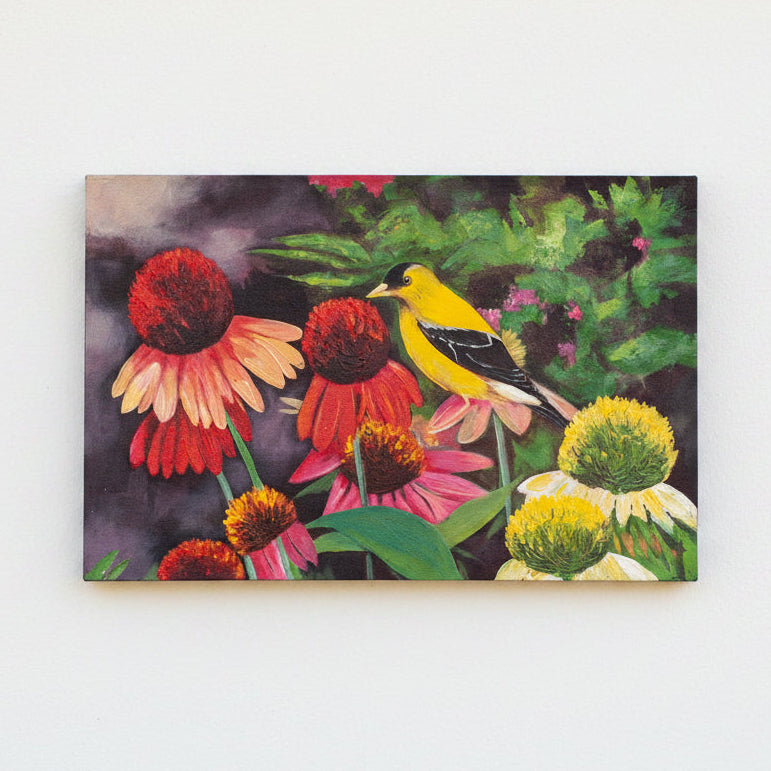 Golden Finch in a bright display of spring colours