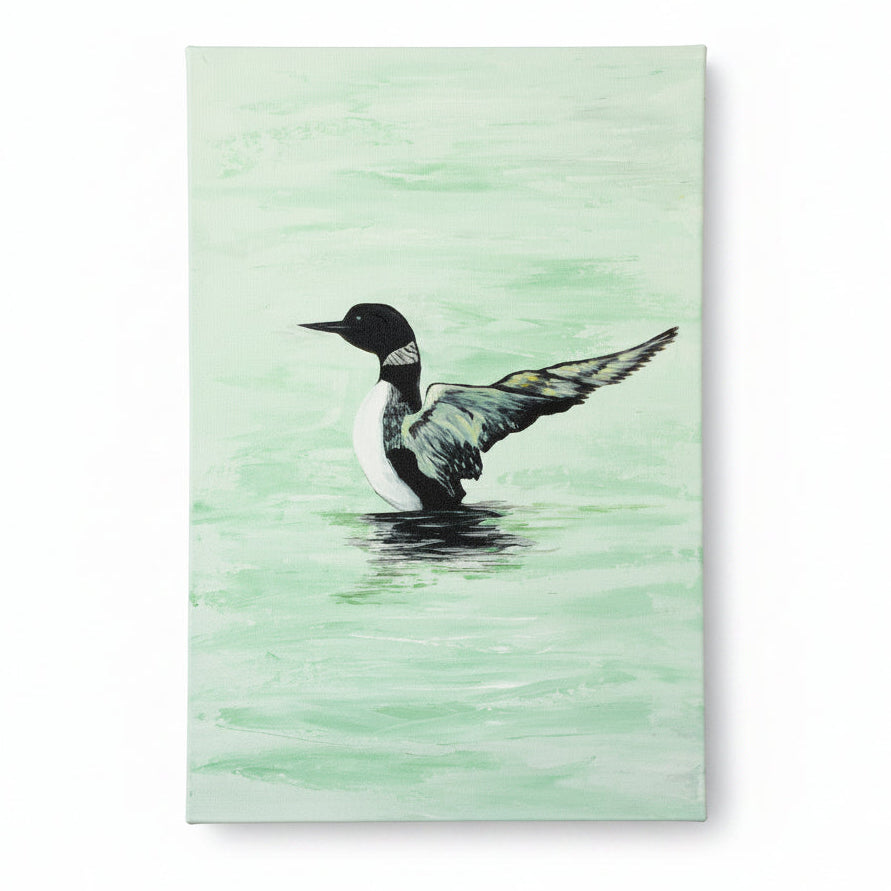 Loon on the water spreading its wings