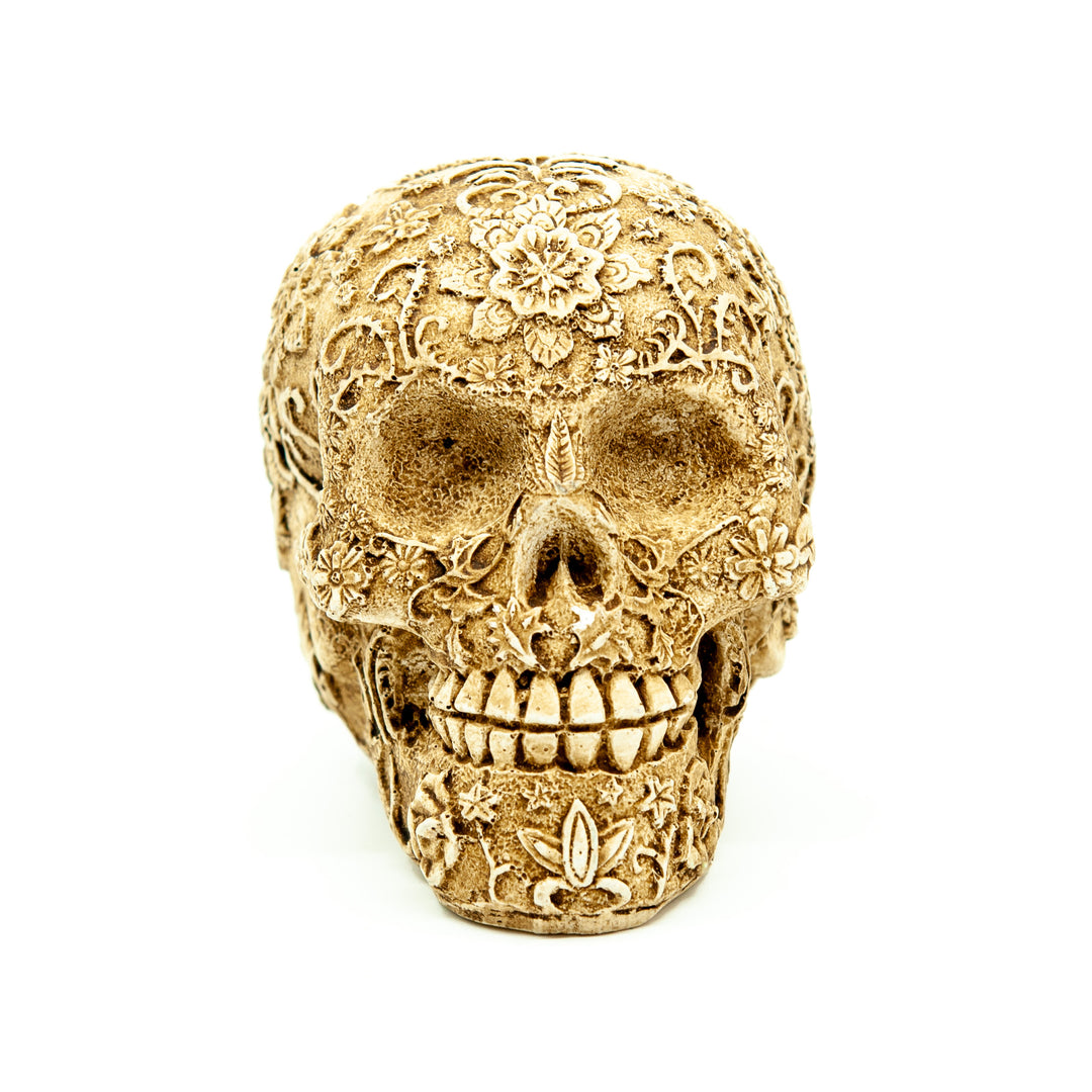 Mexico Resin Skull
