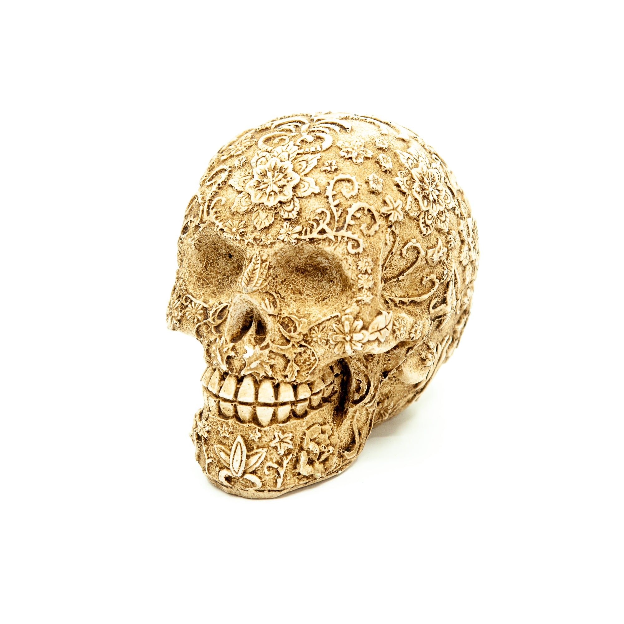 Mexico Resin Skull