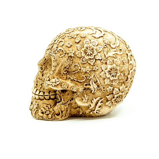 Mexico Resin Skull
