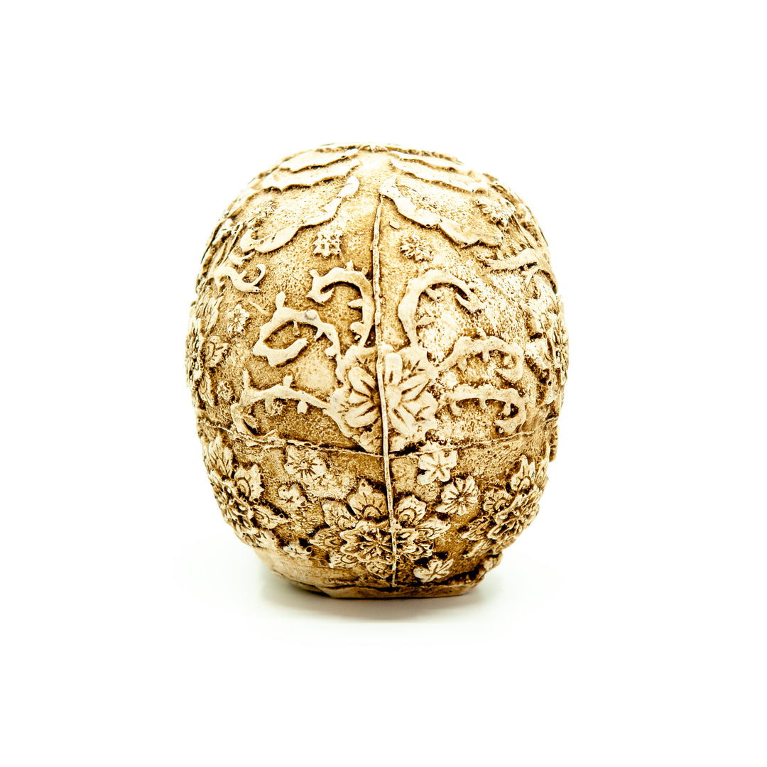 Mexico Resin Skull