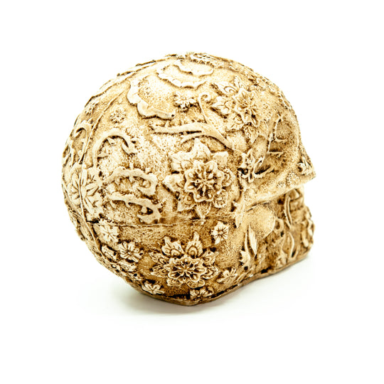 Mexico Resin Skull