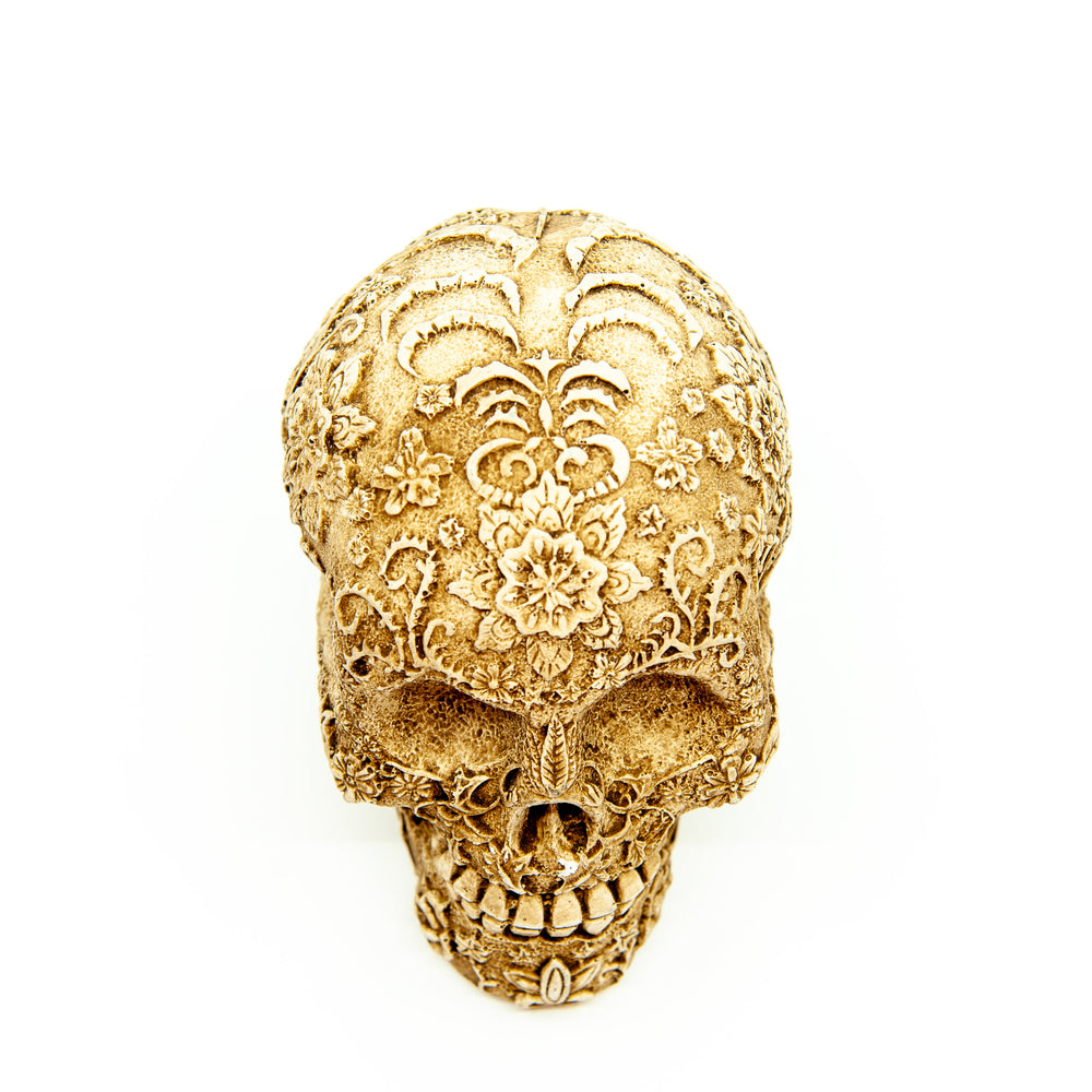 Mexico Resin Skull