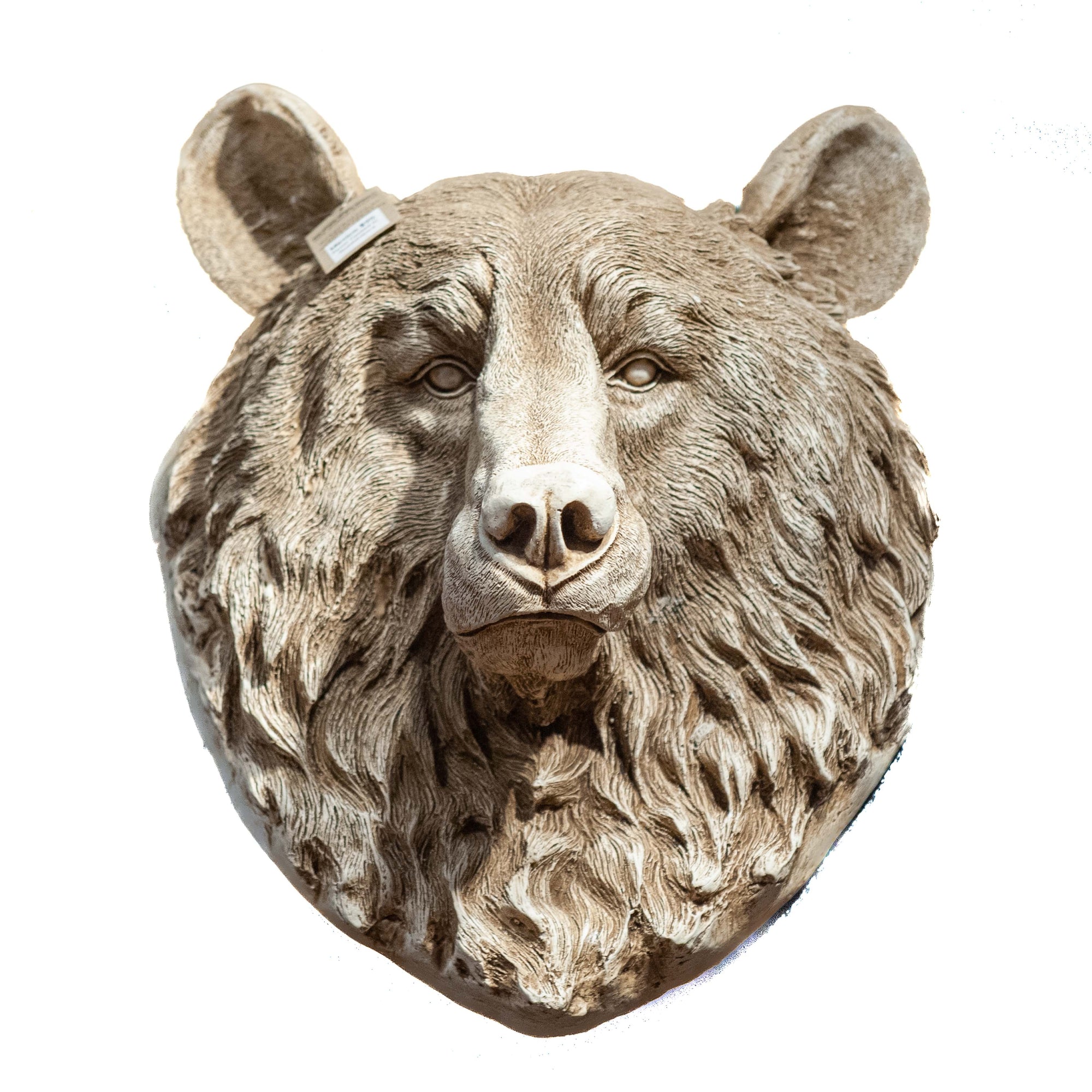 Resin Mexican Bear Head