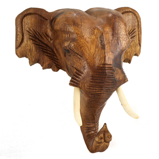 Monkey Pod Elephant Head
